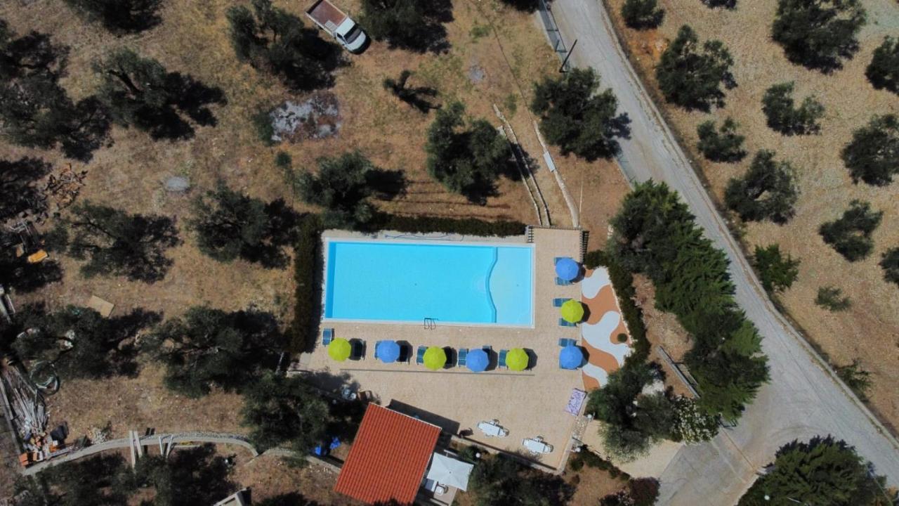 Villa Rinaldi Apartment Vieste Bagian luar foto