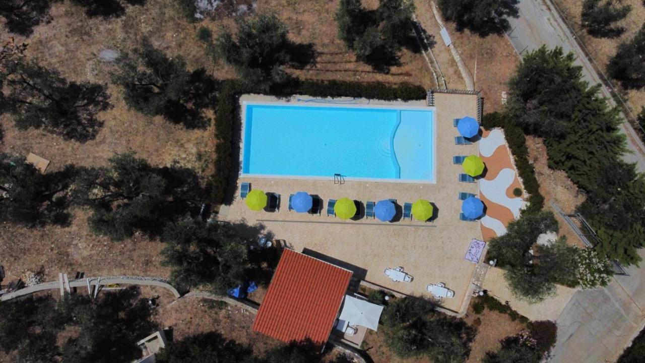 Villa Rinaldi Apartment Vieste Bagian luar foto